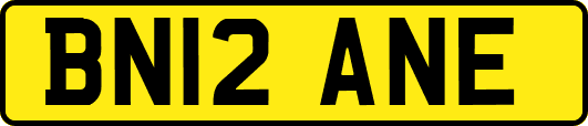 BN12ANE