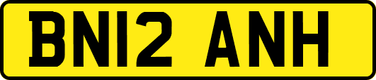 BN12ANH