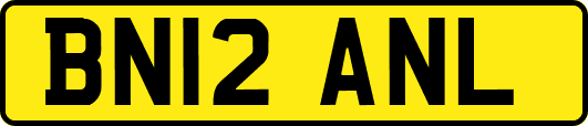 BN12ANL