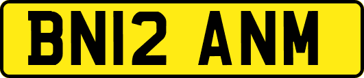 BN12ANM