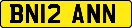 BN12ANN