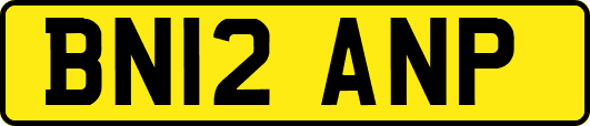 BN12ANP