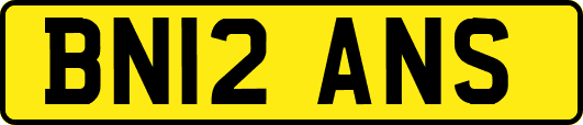 BN12ANS