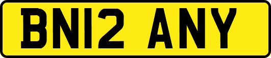 BN12ANY