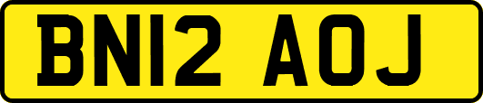 BN12AOJ
