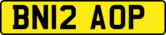 BN12AOP