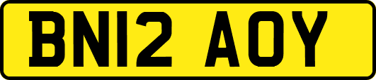 BN12AOY