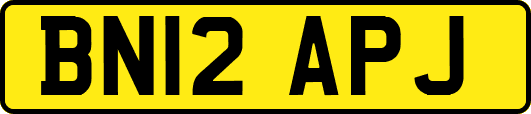 BN12APJ