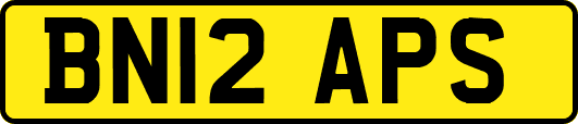 BN12APS