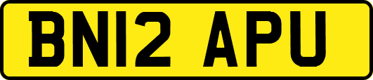 BN12APU