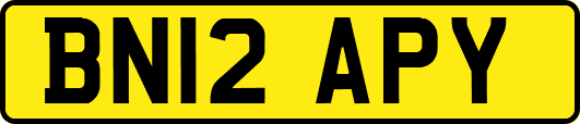 BN12APY