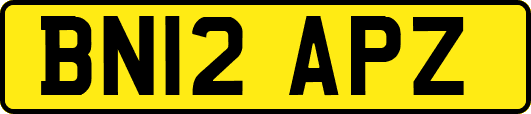 BN12APZ