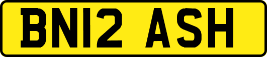BN12ASH