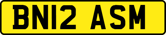 BN12ASM