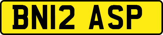 BN12ASP