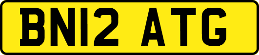 BN12ATG