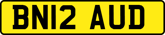 BN12AUD