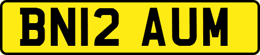 BN12AUM