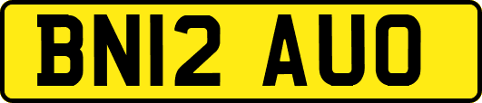 BN12AUO