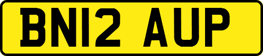BN12AUP