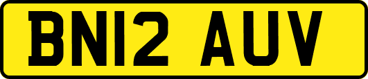 BN12AUV
