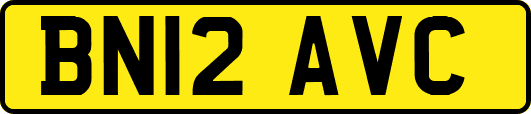 BN12AVC