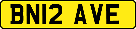 BN12AVE