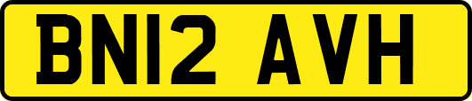 BN12AVH