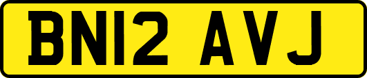 BN12AVJ