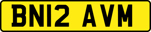 BN12AVM