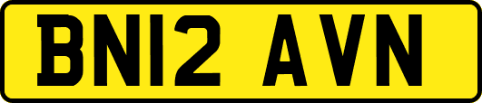 BN12AVN