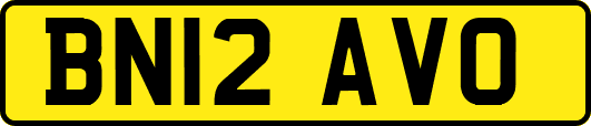 BN12AVO