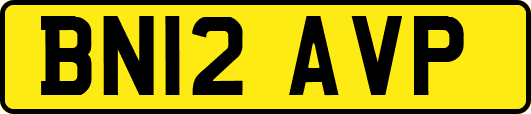 BN12AVP