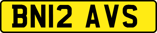 BN12AVS