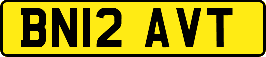 BN12AVT