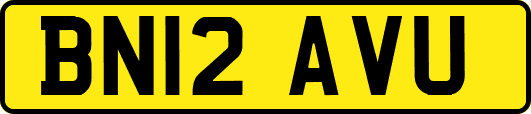 BN12AVU