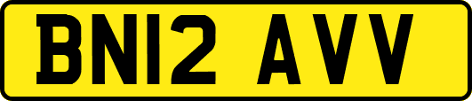 BN12AVV