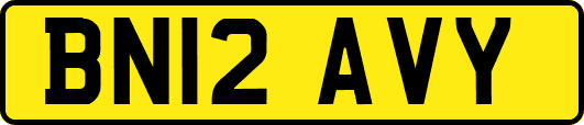 BN12AVY