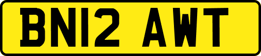 BN12AWT