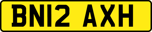 BN12AXH