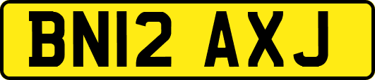 BN12AXJ