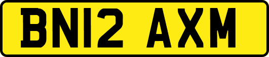 BN12AXM