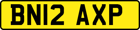 BN12AXP
