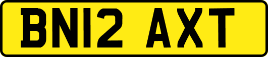 BN12AXT