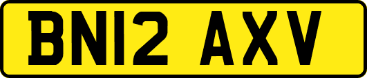 BN12AXV