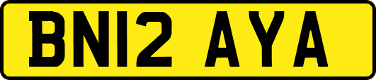 BN12AYA
