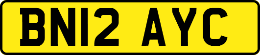 BN12AYC