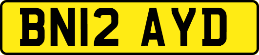 BN12AYD