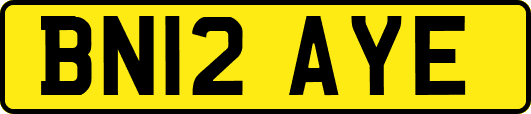 BN12AYE