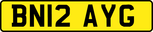 BN12AYG